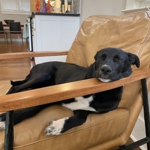 Meet your Posher, Tina